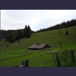 2007-05_03Regenalm (005).JPG